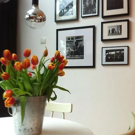 Blue Tulip Άμστερνταμ