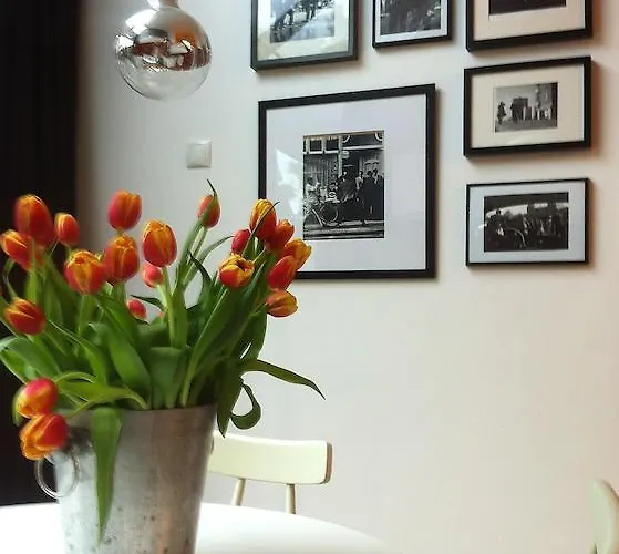 Blue Tulip Ámsterdam