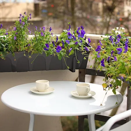 Blue Tulip Bed & Breakfast *